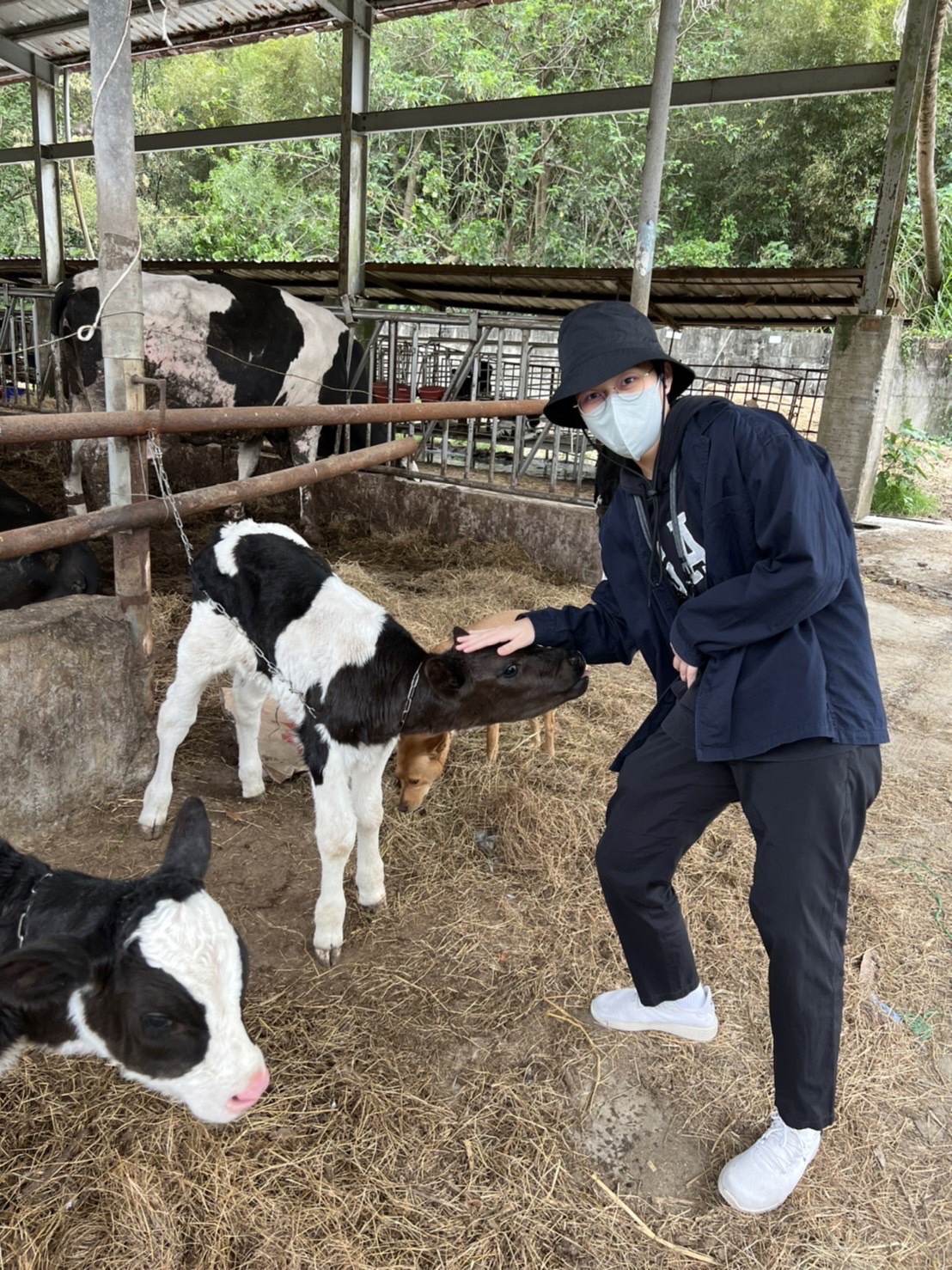 113年 一般警察特考四等 消防警察-胡O惠-台東志光數位學院