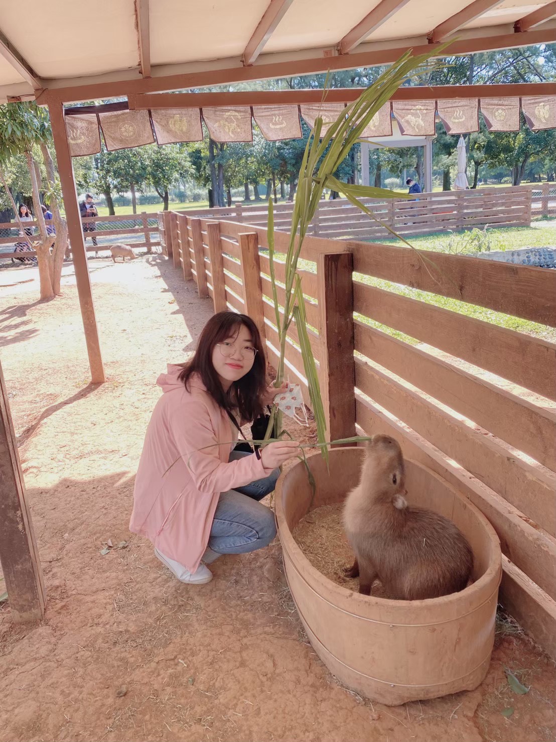 114年司法特考四等-監所管理員-王o甄-澎湖志光數位學院