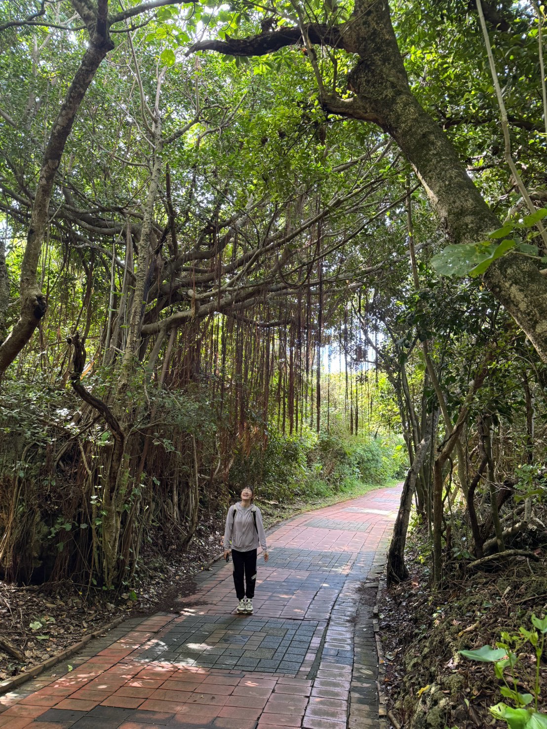 115年高考-體育行政-胡O榕-佳里志光數位學院